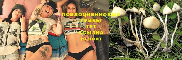 каннабис Абаза
