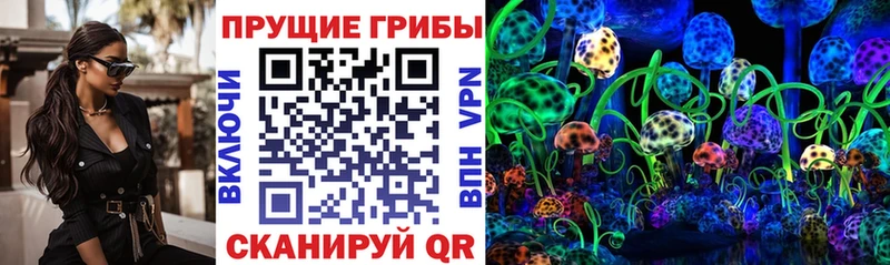 Псилоцибиновые грибы Cubensis  как найти   Поворино 